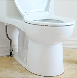 toilet plumbing rochester, ny