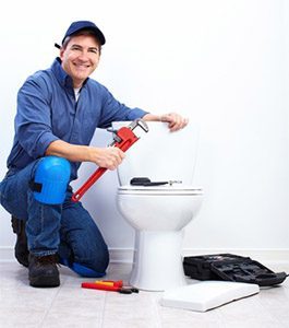 toilet repair webster ny